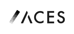 株式会社ACES