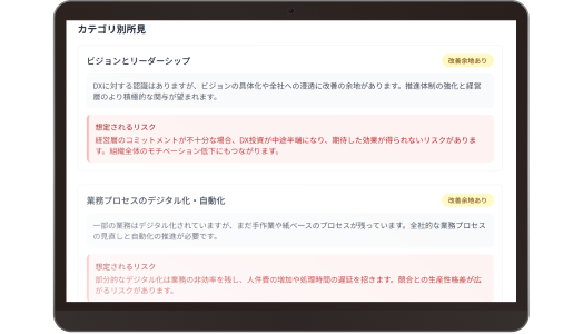 カテゴリ別の所見と想定されるリスクがテキストで記載された画面のイメージ